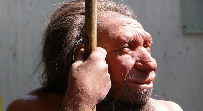 Neanderthal, dna, interbreeding, incest