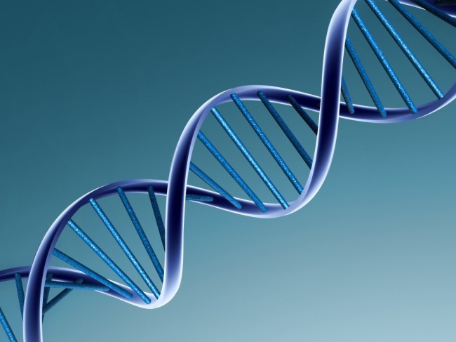 Genetic Code Has Double Meaning 1 Genetic Code
