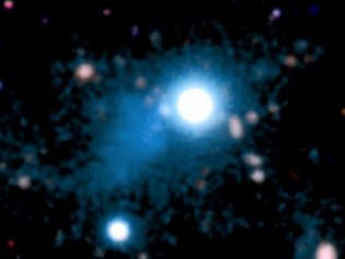 The Skeleton of the Universe Revealed   