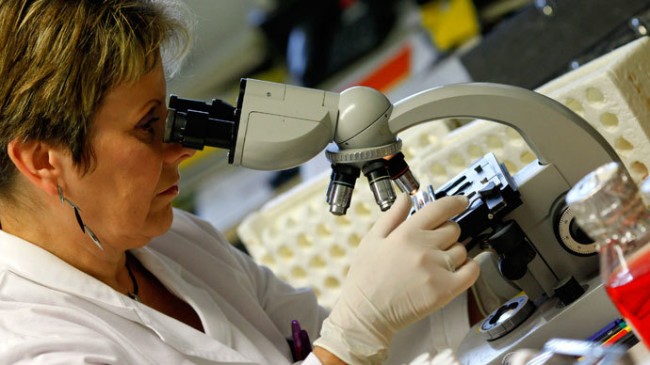 Black Plague Could Return Without Any Warning