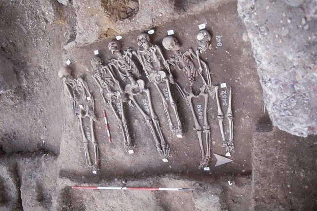 Bubonic Plague DNA Found in Teeth Could Strike Again