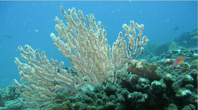 Climate Change: A Moral, political or scientific issue? science, climate, climate change