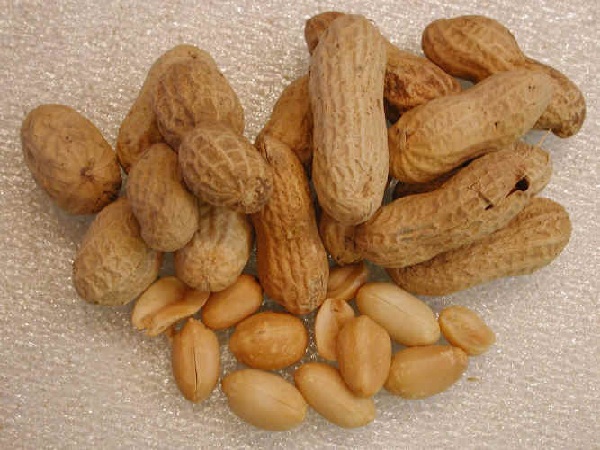 peanut allergy