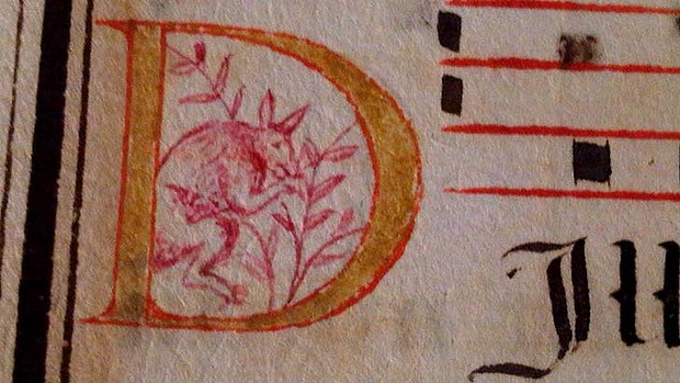 Could Kangaroo Drawing Rewrite History?