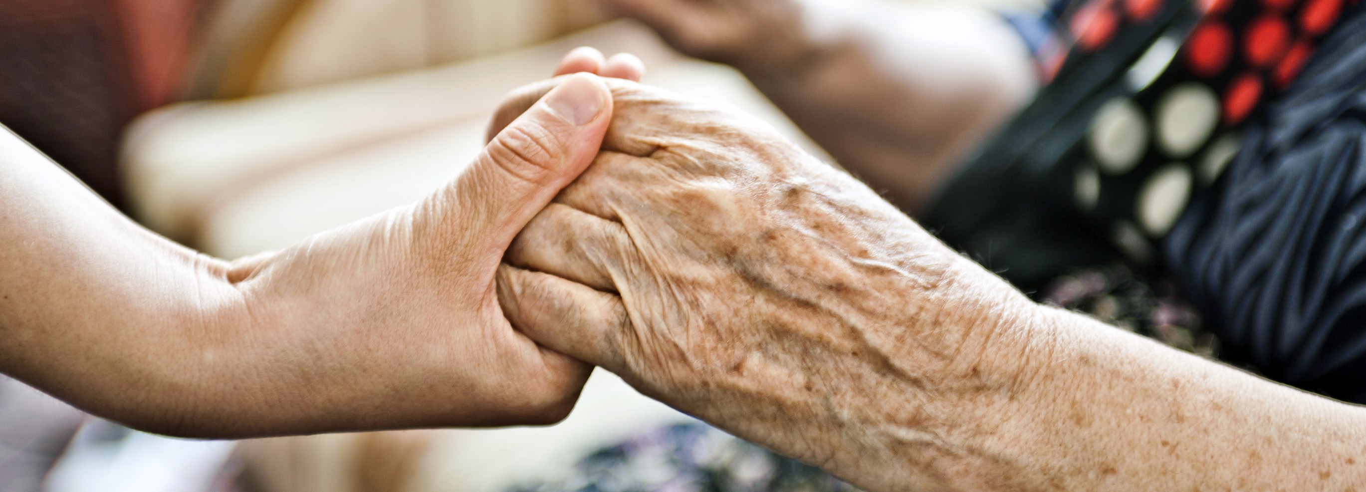 Ageing Successfully Reversed in Mice-Human Trials to Begin Next