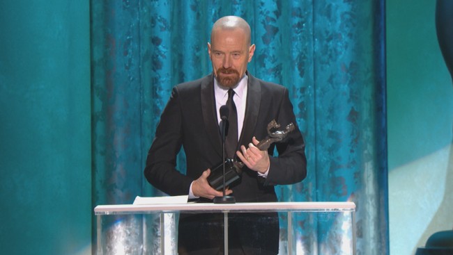 20th Annual Sag Awards January 18 (Review)