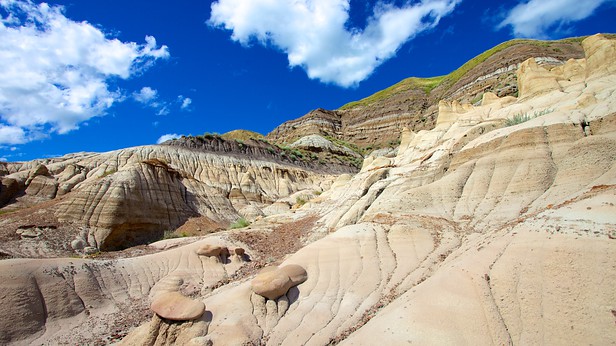 Drumheller Dinosaur Remains