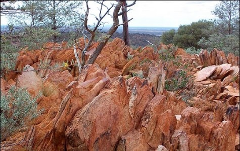 Zircon home Jack Hills