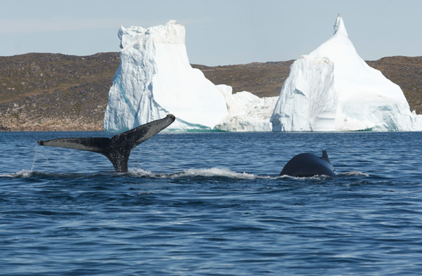 Sprague Theobald Negotiated the Northwest Passage (Interview & Video)