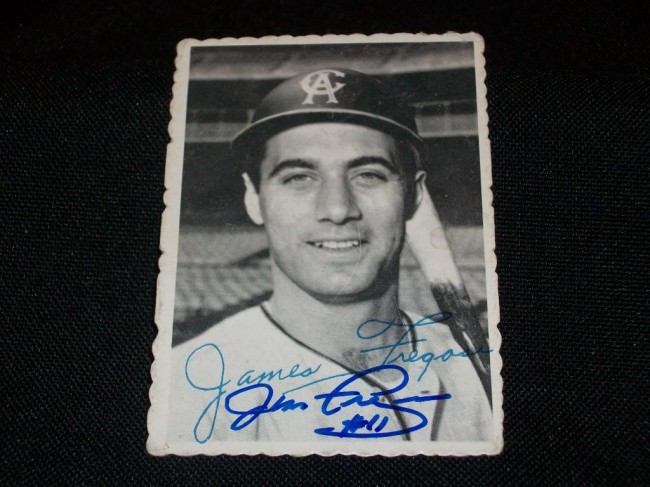 Fregosi an Angel Among Men 1 Fregosi