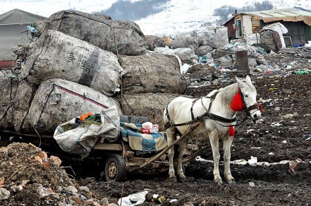 Gypsy Community Gypsy Community