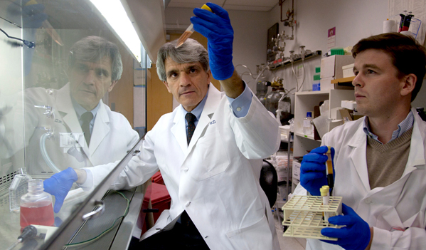 Stem Cells Successfully Transformed to Functioning Liver Cells Stem Cells