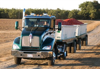 Almonds ‘Gold Rush’ Under Threat in California 1 Almond ‘Gold Rush’ Under Threat in California