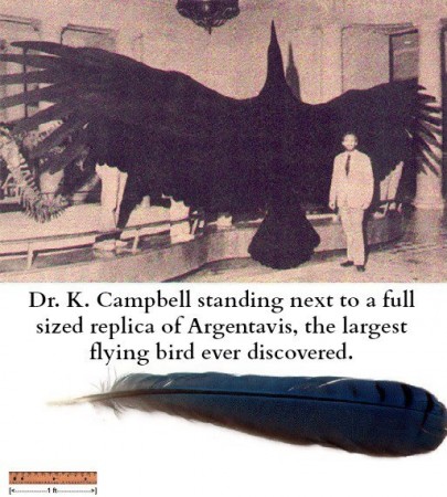 Noah and the Biblical Flood