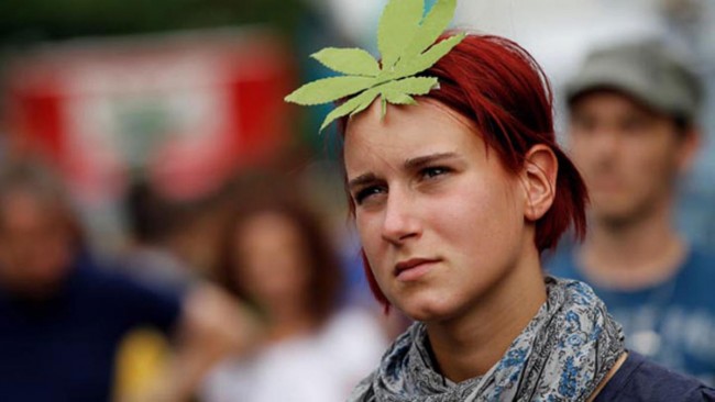 Medical Cannabis, Alcoholism