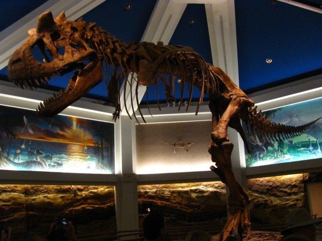 Dinosaurs Were Killed by Dark Matter?