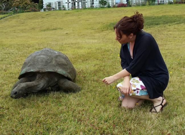 World's Oldest Known Living Land Creature Is Tortoise Named Jonathan