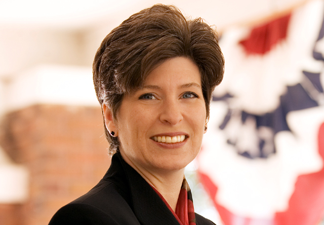 Castration of Pigs to Pave Way for Iowa Senator castration