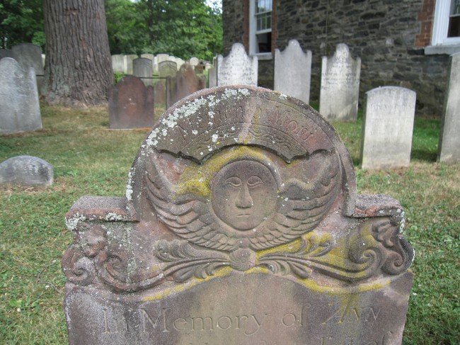 Life Continues On After Death States Scientist