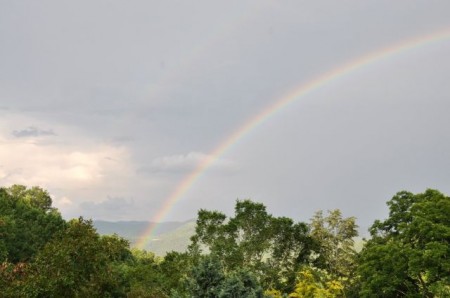 Noah and the Biblical Flood