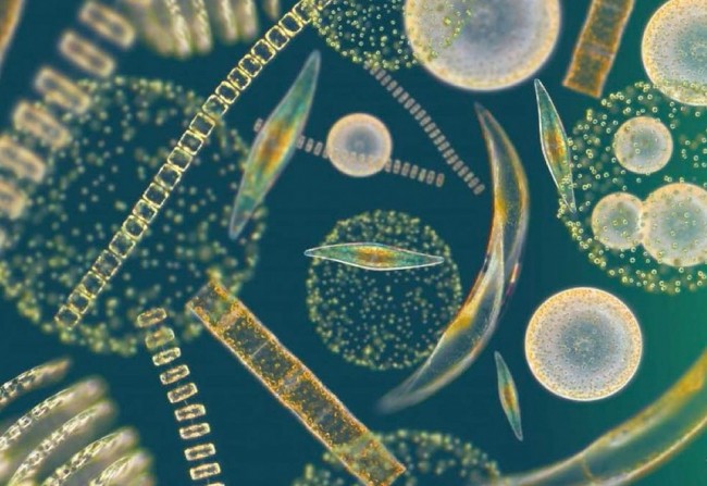 Role of Ocean in Global Climate Change Measurable global climate change