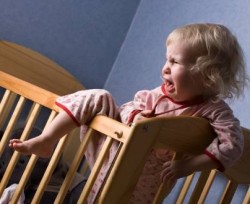 Sleep terrors nightmares