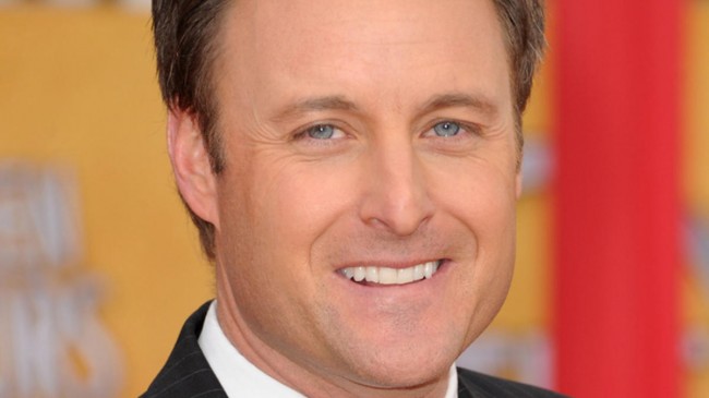 bachelor in paradise