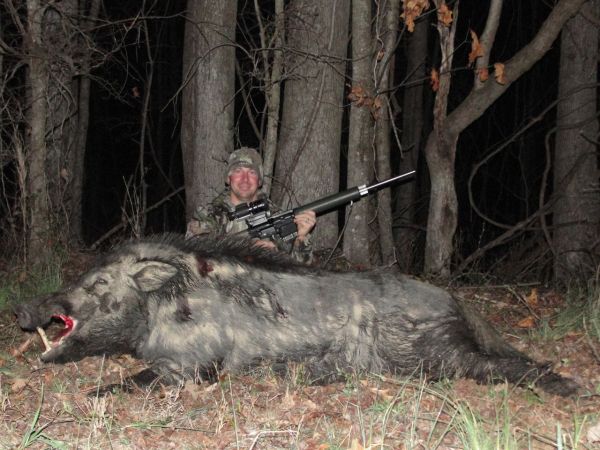 Boar Beyond Belief Equals a Lot of Sausage