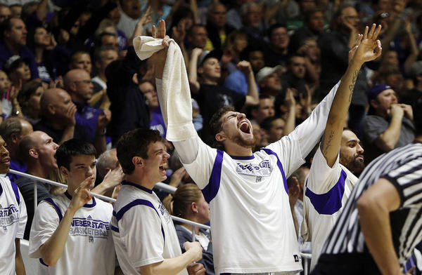 Weber State Wildcats