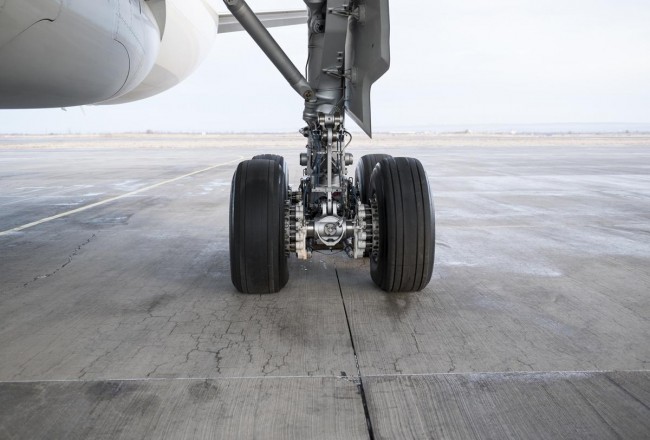 Teenage Stowaway's Miracle Survival