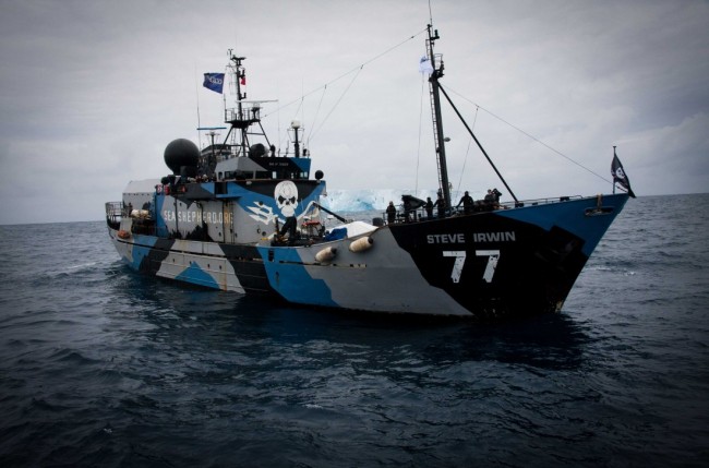 Whaling in Japan Prohibited: Great Victory for Sea Shepherd Whaling in Japan Prohibited