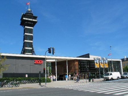Copenhagen Zoo Euthanizes Four Healthy Lions
