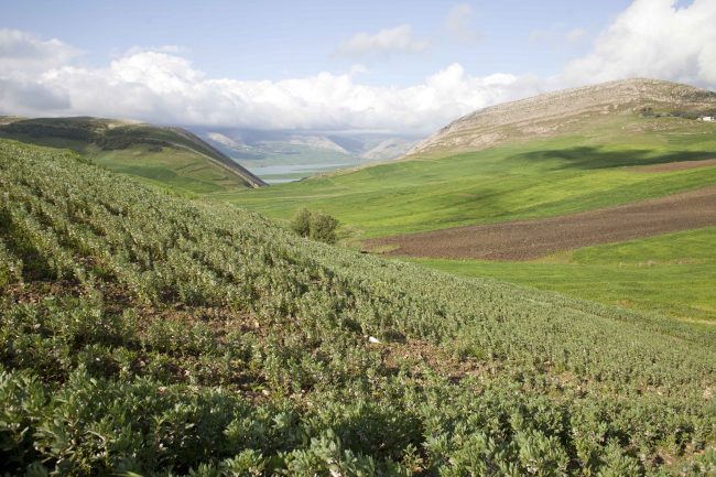 South Africa Land Reform