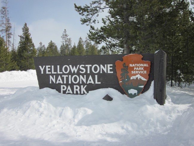 yellowstone
