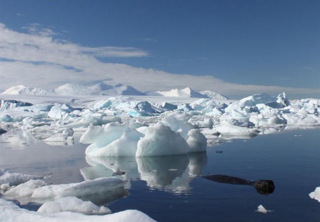 Antarctica Glaciers Possibly Melting Faster Than Once Believed 1 Antarctica Glaciers Melting Faster Than Once Believed
