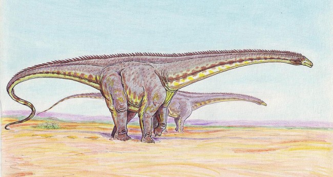 Diplodocids One Roamed Argentina and Survived the Mass Extinction