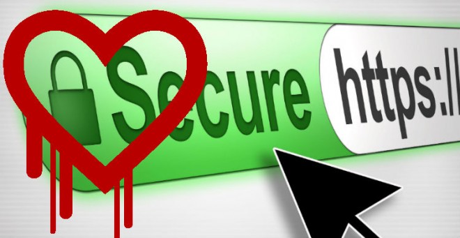 heartbleed bug