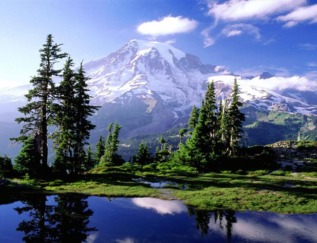 Mount Rainier Climbers No Chance of Survival Mount Rainier