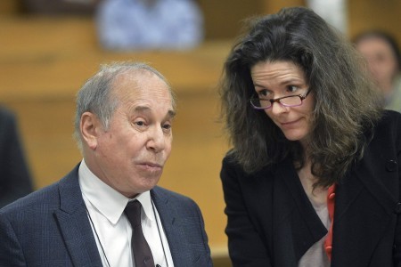 Paul Simon and Edie Brickell: Disorderly Conduct Charges Now Behind Them
