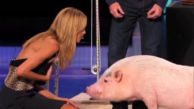 America s Got Talent