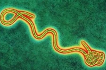 Ebola
