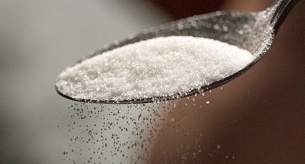 The Erythritol Found in Truvia Can Act as an Insecticide 1 The Erythritol Found in Truvia Can Act as an Insecticide