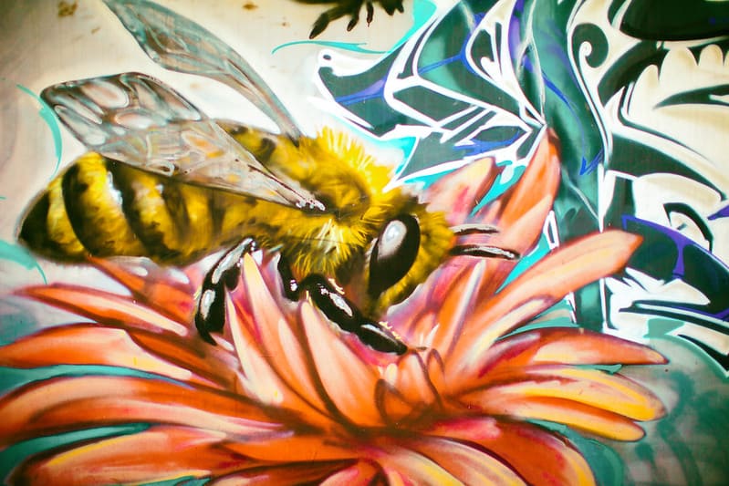 robobees