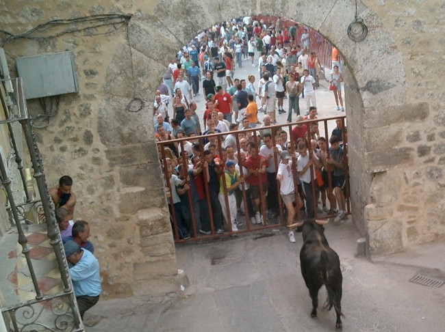 Pamplona Police Looking for Man Who Took Running of the Bulls Selfie Pamplona