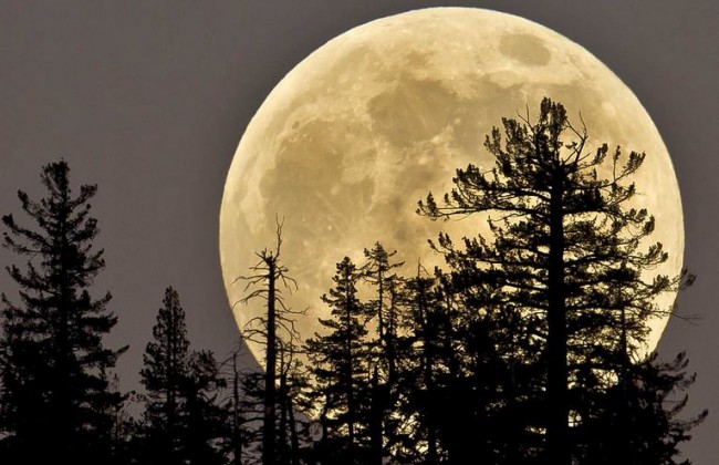 July Supermoon Is the First of a Spectacular Summer 1 Supermoon