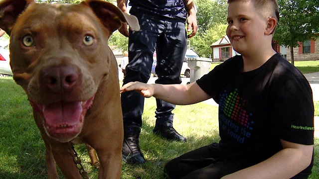 Pit Bull Saved Deaf Teen From Deadly Fire