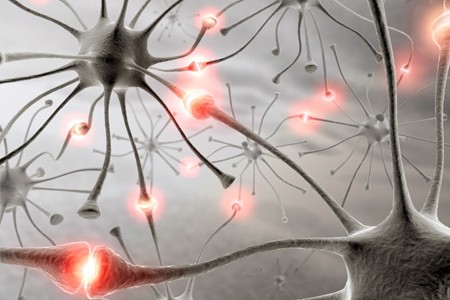 sleep neuron research SHY hypothesis