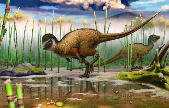 Scientists Believe Possibly Almost All Dinosaurs Were Covered in Feathers