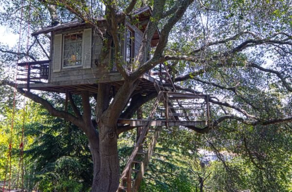 When Things Are Down Tree Houses Will Always up treehouse