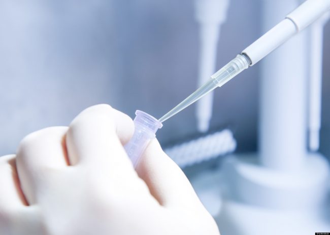 Bigfoot Hair Samples Reveal Creature's Identity bigfoot